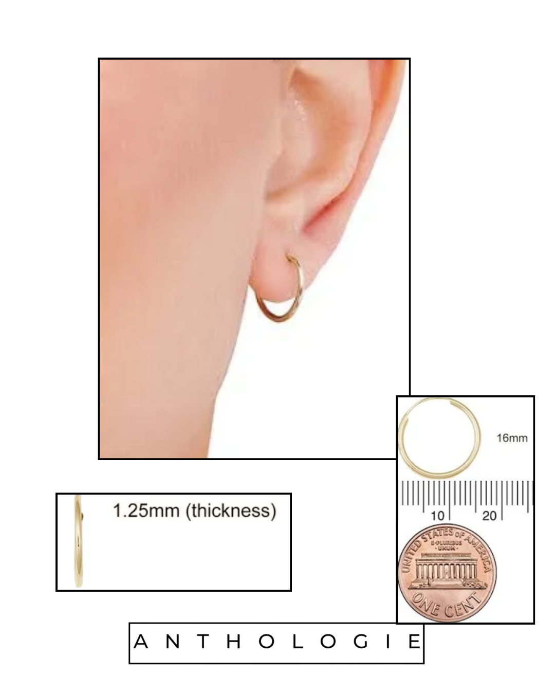 Lifetime Luxe Hoop Earring